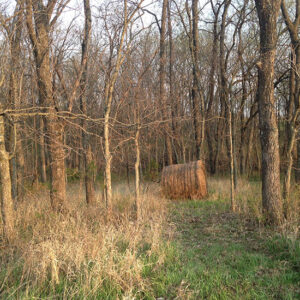 Land-Buying and House-Building Advice: A Roundup of Reader Tips Image